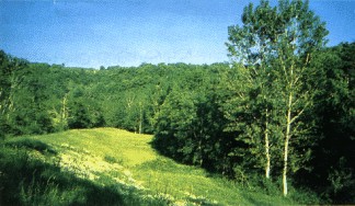 Natural Park of Montesinho